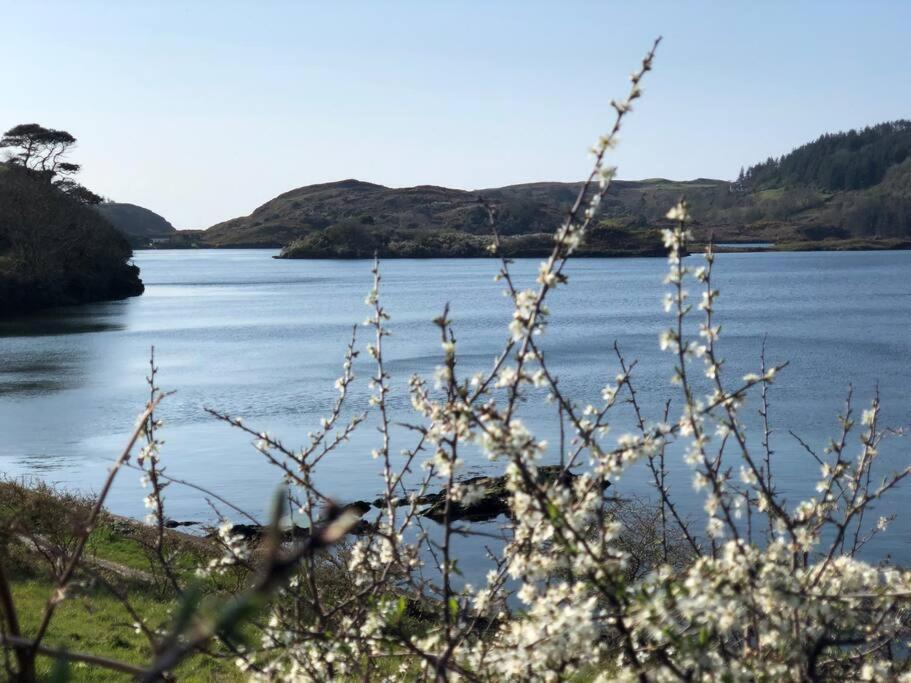 Lough Hyne Cottage Skibbereen Esterno foto